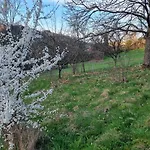 Дом отдыха Le Renard Des Vosges La Croix-aux-Mines