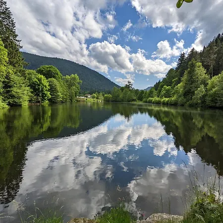 Nyaraló Le Renard Des Vosges *