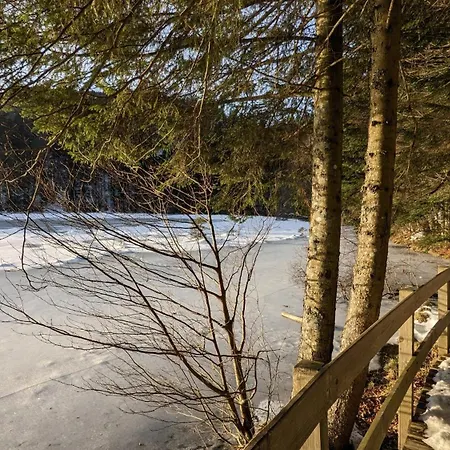 Le Renard Des Vosges *