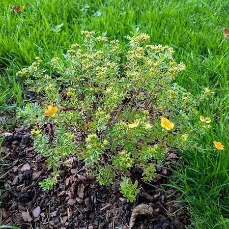 Le Renard Des Vosges Σπίτι διακοπών