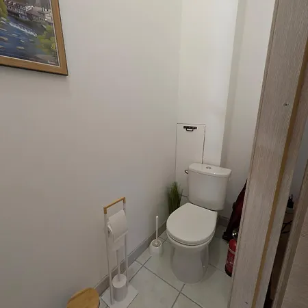 Le Renard Des Vosges *