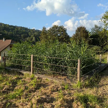 Σπίτι διακοπών Le Renard Des Vosges *