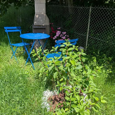 Le Renard Des Vosges Σπίτι διακοπών La Croix-aux-Mines