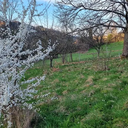 Σπίτι διακοπών Le Renard Des Vosges La Croix-aux-Mines