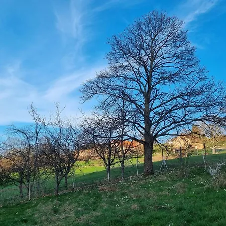 Le Renard Des Vosges Nyaraló