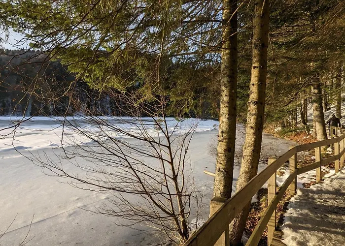 Le Renard Des Vosges *