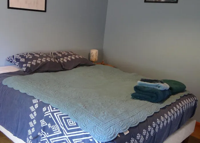 Le Renard Des Vosges