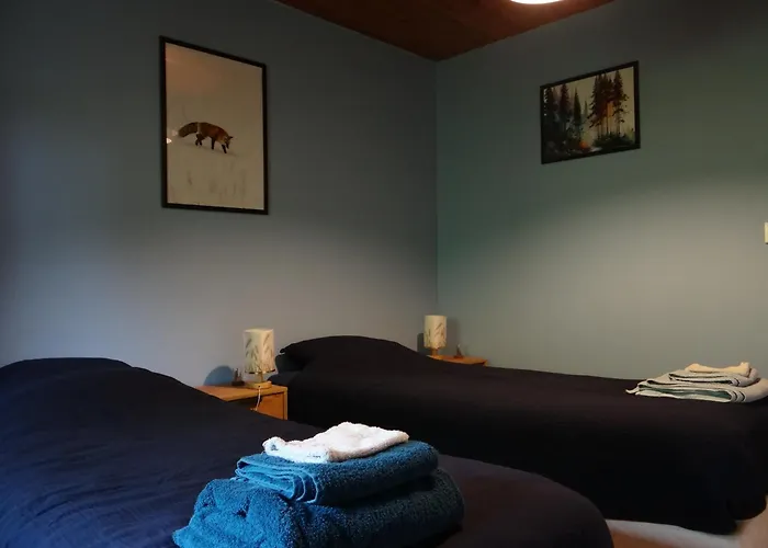 Le Renard Des Vosges