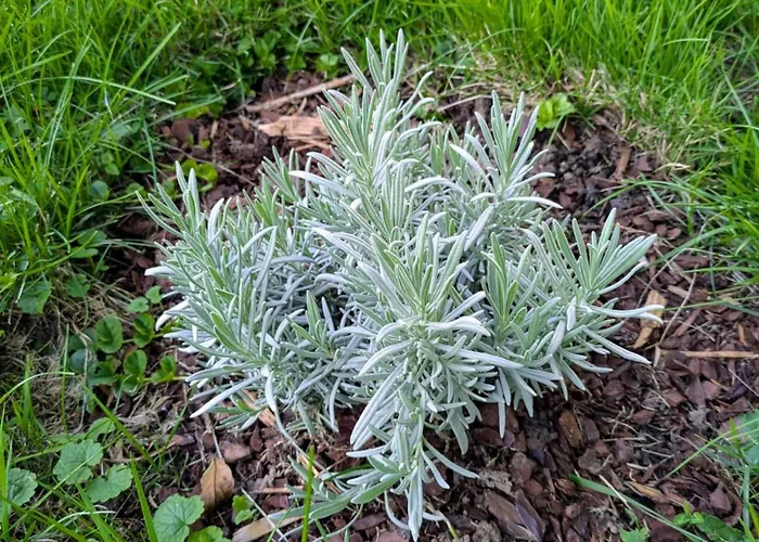 Le Renard Des Vosges Σπίτι διακοπών