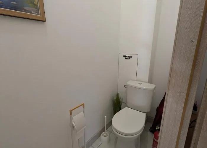 Le Renard Des Vosges *