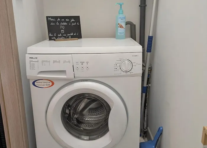 Le Renard Des Vosges