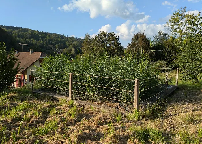 度假居 Le Renard Des Vosges *