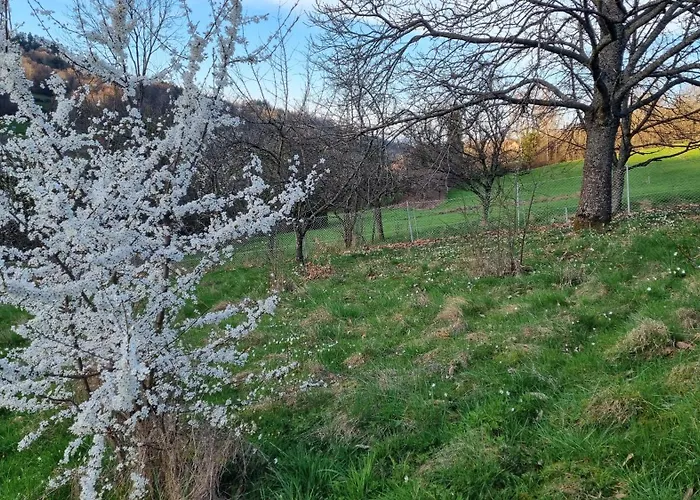 度假居 Le Renard Des Vosges La Croix-aux-Mines
